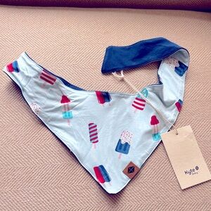 Kyte Baby Popsicle Print dog Bandana